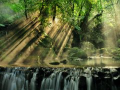 Introduction to Environmental law